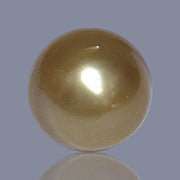 RARE Oval 15.7 x 18.7mm 30.6 Carats Deep Gold South Sea Pearl Loose