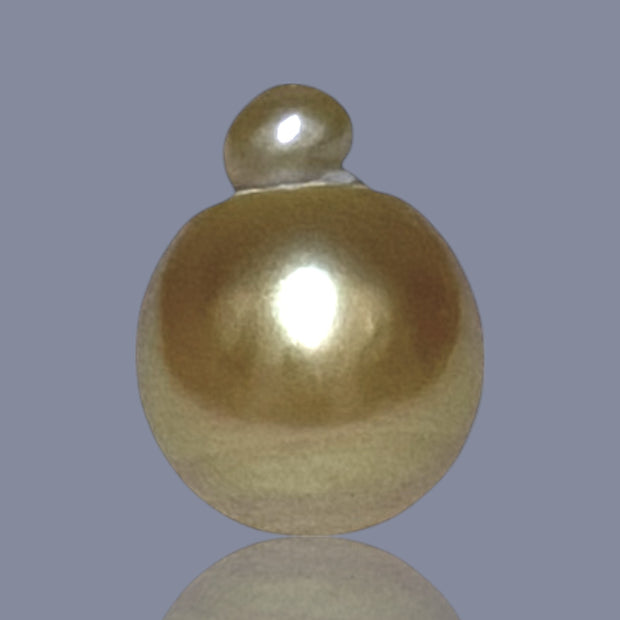 RARE Giant 16 x 20.5mm Deep Gold Philippines South Sea Pearl Loose