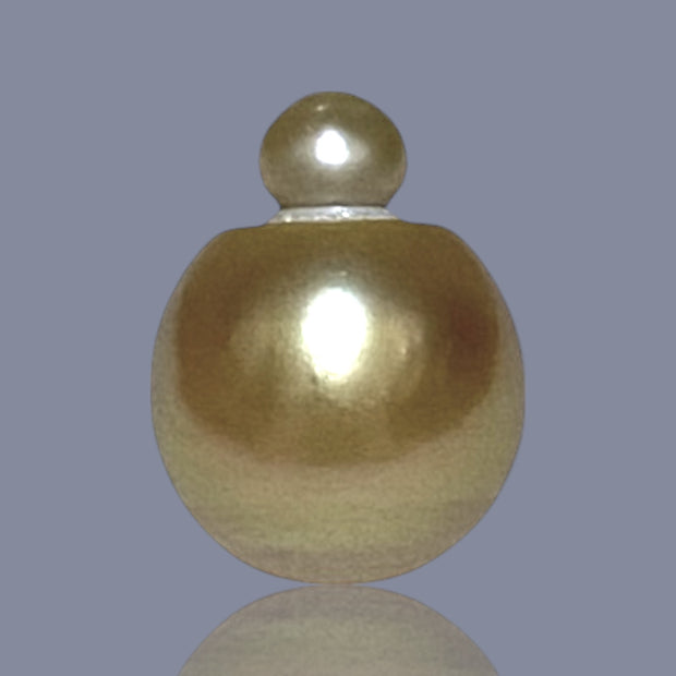 RARE Giant 16 x 20.5mm Deep Gold Philippines South Sea Pearl Loose