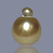 RARE Giant 16 x 20.5mm Deep Gold Philippines South Sea Pearl Loose