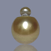 RARE Giant 16 x 20.5mm Deep Gold Philippines South Sea Pearl Loose