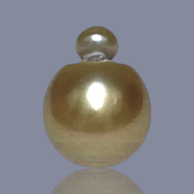 RARE Giant 16 x 20.5mm Deep Gold Philippines South Sea Pearl Loose