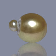 RARE Giant 16 x 20.5mm Deep Gold Philippines South Sea Pearl Loose