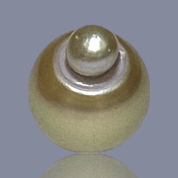 RARE Giant 16 x 20.5mm Deep Gold Philippines South Sea Pearl Loose