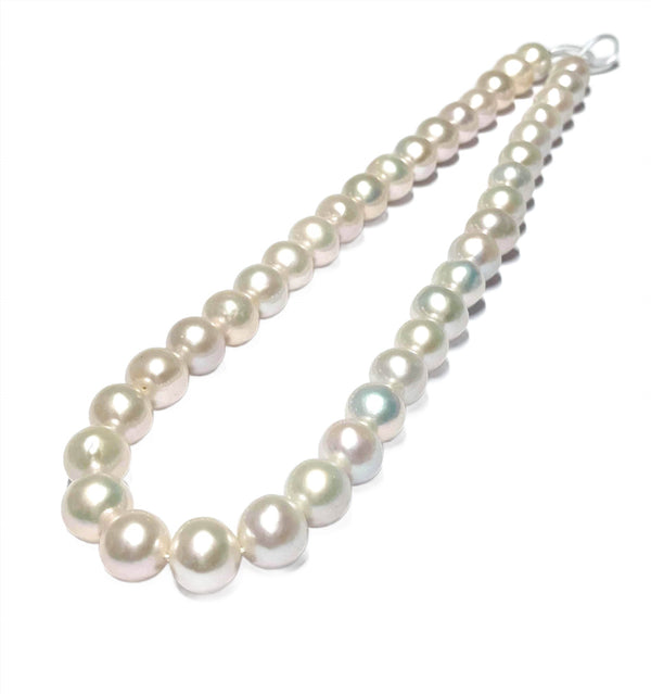 Giant Baroque 18 - 23mm Keshi White Pink Tones Cultured Pearl 16" Strand