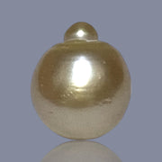 RARE Giant 16.3 x 19.1mm 33.7 Carats Deep Gold South Sea Pearl Loose