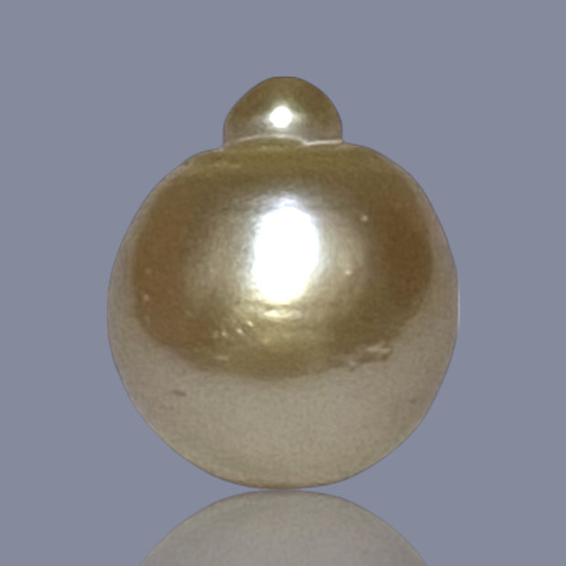 RARE Giant 16.3 x 19.1mm 33.7 Carats Deep Gold South Sea Pearl Loose