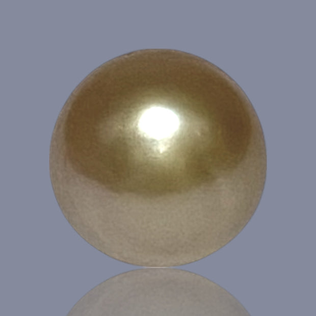 RARE Giant 16.3 x 19.1mm 33.7 Carats Deep Gold South Sea Pearl Loose