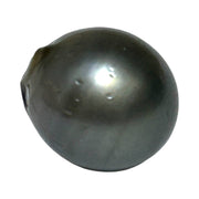 Radiant 21 Carat 13.9x 15.5mm Tahitian Peacock Middle Gray Pearl