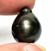 Giant 14.4 x 18.7mm 24.5 Carat Tahitian Peacock Black Pearl Un-Drilled