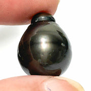 Giant 14.4 x 18.7mm 24.5 Carat Tahitian Peacock Black Pearl Un-Drilled