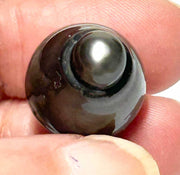 Giant 14.4 x 18.7mm 24.5 Carat Tahitian Peacock Black Pearl Un-Drilled