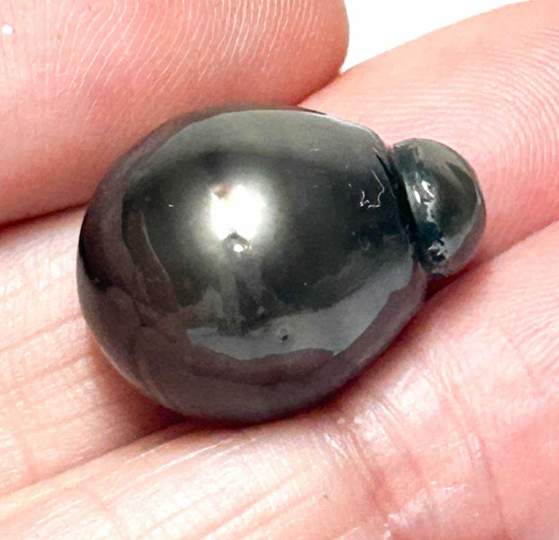 Giant 14.4 x 18.7mm 24.5 Carat Tahitian Peacock Black Pearl Un-Drilled