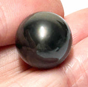 Giant 14.4 x 18.7mm 24.5 Carat Tahitian Peacock Black Pearl Un-Drilled