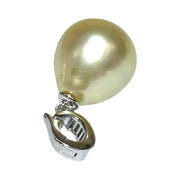 Huge 11.6 x 13.6mm Natural Champagne South Sea Pearl Pendant