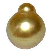 Deep Gold Philippines South Sea Pearl 13.6 x 16.3mm Un-Drilled