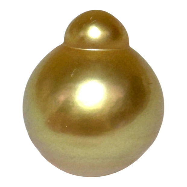 Deep Gold Philippines South Sea Pearl 13.6 x 16.3mm Un-Drilled