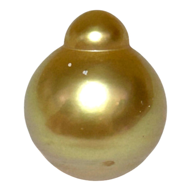 Deep Gold Philippines South Sea Pearl 13.6 x 16.3mm Un-Drilled