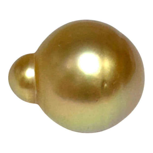 Deep Gold Philippines South Sea Pearl 13.6 x 16.3mm Un-Drilled