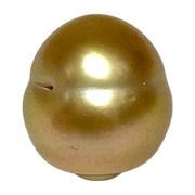 Giant 16.1 x 17.8mm 32.8 Carats Rich Gold South Sea Pearl Loose