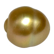 Giant 16.1 x 17.8mm 32.8 Carats Rich Gold South Sea Pearl Loose