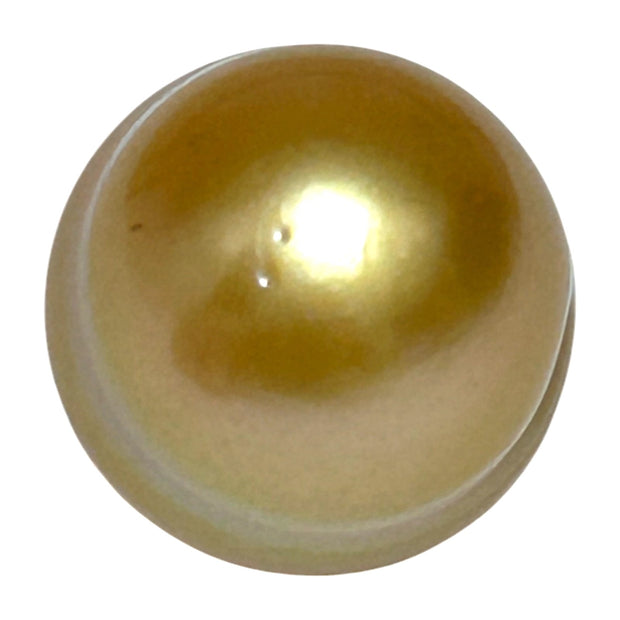 Giant 16.1 x 17.8mm 32.8 Carats Rich Gold South Sea Pearl Loose