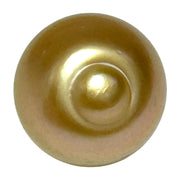 Giant 16.1 x 17.8mm 32.8 Carats Rich Gold South Sea Pearl Loose