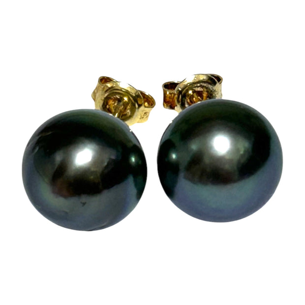 Classy 11.2mm Peacock Black Green Tahitian South Sea Stud Earrings