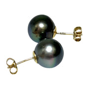 Classy 11.2mm Peacock Black Green Tahitian South Sea Stud Earrings