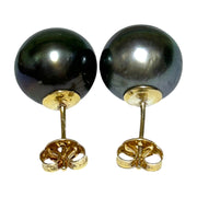 Classy 11.2mm Peacock Black Green Tahitian South Sea Stud Earrings