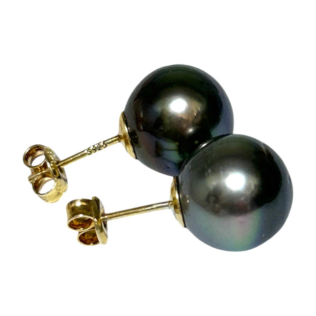 Classy 11.2mm Peacock Black Green Tahitian South Sea Stud Earrings