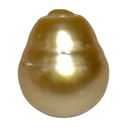 Giant 14.6 x 17.3mm 26.4 Carats Deep Golden Philippines Sea Pearl