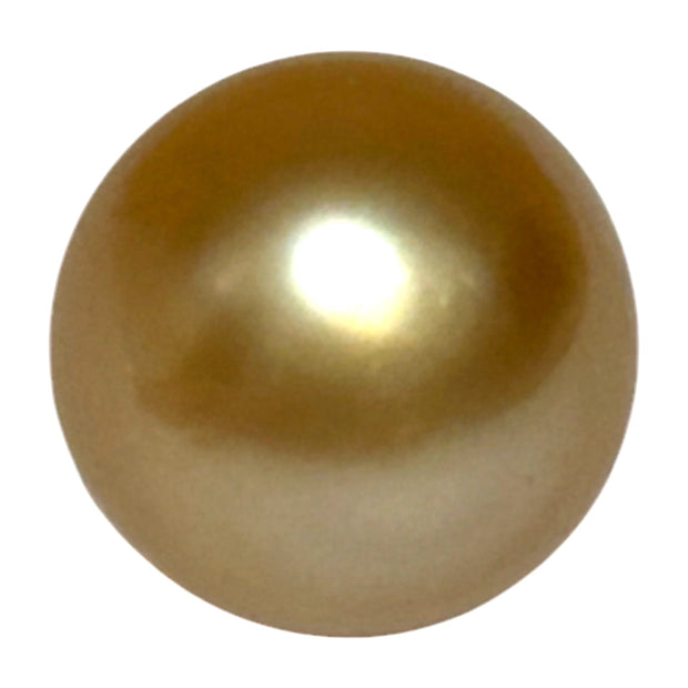 Giant 14.6 x 17.3mm 26.4 Carats Deep Golden Philippines Sea Pearl