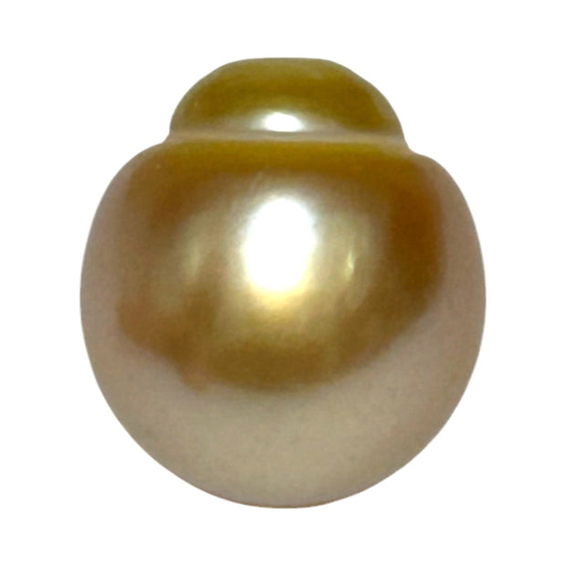 Giant 14.3 x 15.8mm 22.1 Carats Deep Golden South Sea Pearl Loose