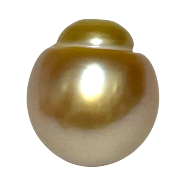 Giant 14.3 x 15.8mm 22.1 Carats Deep Golden South Sea Pearl Loose