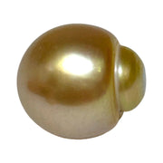 Giant 14.3 x 15.8mm 22.1 Carats Deep Golden South Sea Pearl Loose