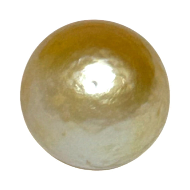 Oval 12.5 x 15mm 14.7 Carats Pale Gold Australia South Sea Pearl Loose