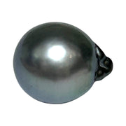 Huge 13.7 x 16.5mm 20 Carat Tahitian Sea Peacock Middle Gray Pearl