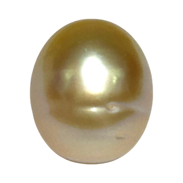 Smooth Oval 14.2 x 16.7mm 23.8 Carat Rich Gold South Sea Loose Pearl