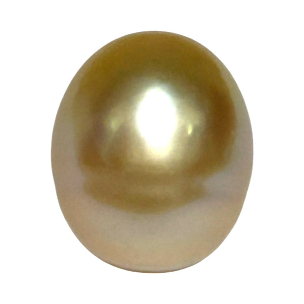 Smooth Oval 14.2 x 16.7mm 23.8 Carat Rich Gold South Sea Loose Pearl