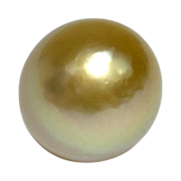 Smooth Oval 14.2 x 16.7mm 23.8 Carat Rich Gold South Sea Loose Pearl