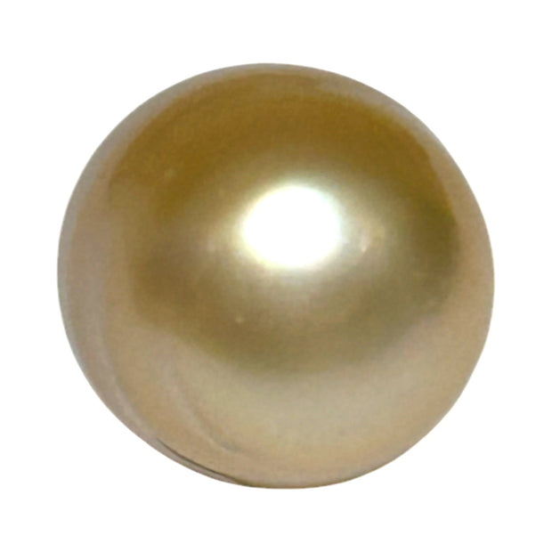 Smooth Oval 14.2 x 16.7mm 23.8 Carat Rich Gold South Sea Loose Pearl