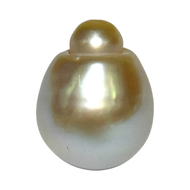 Large 15.3 x 19.7mm 29.8 Carat Gold South Sea Polished Pearl Loose