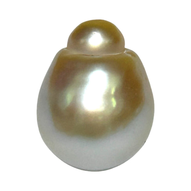 Large 15.3 x 19.7mm 29.8 Carat Gold South Sea Polished Pearl Loose