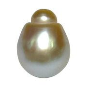 Large 15.3 x 19.7mm 29.8 Carat Gold South Sea Polished Pearl Loose