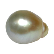 Large 15.3 x 19.7mm 29.8 Carat Gold South Sea Polished Pearl Loose