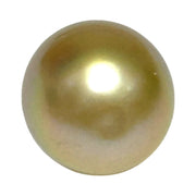 Teardrop 12,7 x 15.6mm 18.3 Carat Gold Philippines South Sea Pearl