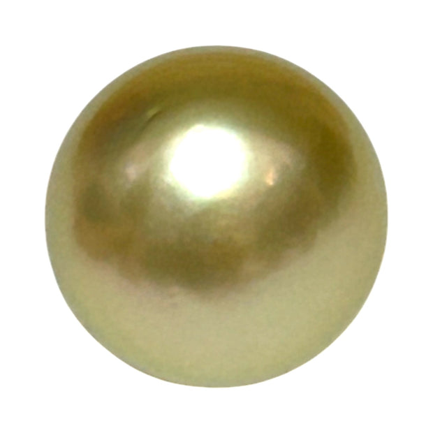 Teardrop 12.2 x 13.8mm 14.6 Carat Gold Philippines South Sea Pearl