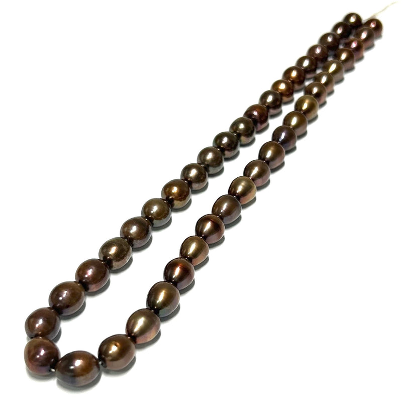 Oval 8.5 x 10.5mm Black Brown Bronze FW Cultured Pearl 16" Strand
