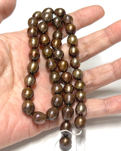 Oval 8.5 x 10.5mm Black Brown Bronze FW Cultured Pearl 16" Strand